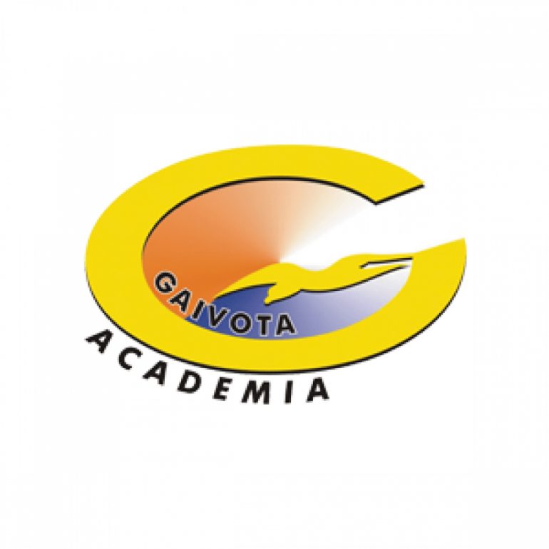 logo-academia-gaivota-3361035789