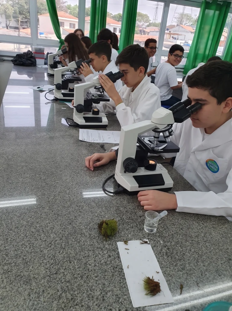 Alunos do Fundamental II usam microscópios no laboratório